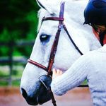 Cathy Goldring - @cathy_goldring - Instagram
