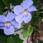 Cathy Gordon - @cathy.gordon.73 - Instagram