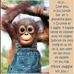 Cathy Gordon - Facebook