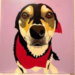 Cathy Gordon - @3dogsstudiodenver - Instagram