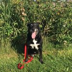 Cathy Gorman - @gorman3621 - Instagram