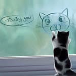 cathy granger - @catituucing - Instagram