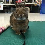Cathy Griffith - @tobiandthefosters - Instagram