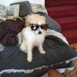Cathy Guest - @cathykat14 - Instagram