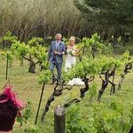 Cathy Guest - @cathy.guest.144 - Instagram