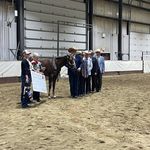 Cathy Henderson Guest - @guestcathy - Instagram