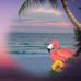 Catherine Ball Gump - Facebook