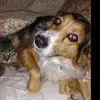 cathy guyer - @cathy.guyer0 - TikTok