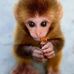 Cathy Guzzo - Facebook