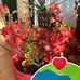 Cathy Ha - Facebook
