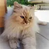 Cathy Hack - @cathy.hack - TikTok