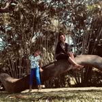 Cathy Hadley - @chadley2017 - Instagram