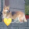 Cathy Hadley - @cathy.hadley - TikTok