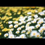 Cathy Hager - @cathager - Instagram