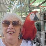 Cathy Haggerty - @cathy.haggerty.56 - Instagram