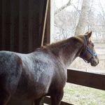 Cathy Hahn - @cathyhahn48 - Instagram