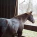 Cathy Hahn - Facebook