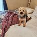 Cathy Hahn - Facebook