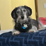 Cathy Haight - @cjkokimom - Instagram