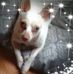 Cathy Hakim - Facebook