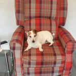 Cathy Haley - @cathyhaley2804 - Instagram
