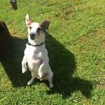 Cathy Haley - @cathyhaley9 - Instagram
