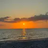 Cathy_Haley - @cathy_haley - TikTok