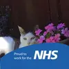 cathyhallam - @cathyhallam - TikTok