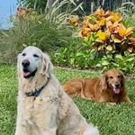 Cathy Halpin Kuhlman - @cathy.kuhlman - Instagram
