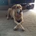 Cathy Hamann - Facebook
