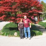 Cathy Hamblin - @chamblin55 - Instagram