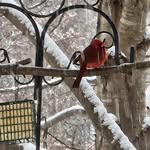 Cathy hamlin - @cathyh476 - Instagram