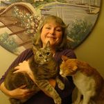 Cathy Hamm - @procatsittercathy - Instagram