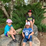 Cathy Hamm Appelgren - @cathyjappel - Instagram