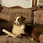 Cathy Hammack - @vettechnmom - Instagram