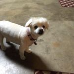Cathy Hancock - @hancockc1957 - Instagram