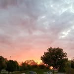 Cathy Handy - @handycathy - Instagram