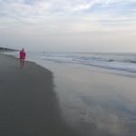 Cathy Hans - @catlhans - Instagram