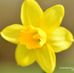 Cathy Hantz - Facebook
