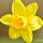 Cathy Hantz - @geslincathy - Instagram