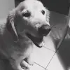 Cathy Hao - @cathyhao6 - TikTok