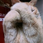 cathyhao - @cathyhao8 - Instagram