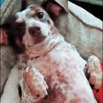 Cathy Harbin - @cathyharbin4 - Instagram