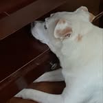 Cathy Hardison - @cathyjean.1042 - Instagram