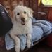 Cathy Hardwick - Facebook