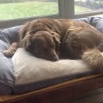 Cathy Hardwick - Facebook