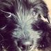 Cathy Hardwick - Facebook