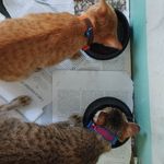 Cathy And Harold's Daily Life - @cathyandharoldsdaily - Instagram