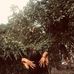 Cathy Harold Amos - Facebook