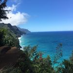 Cathy Harrold - @cathy.harrold - Instagram